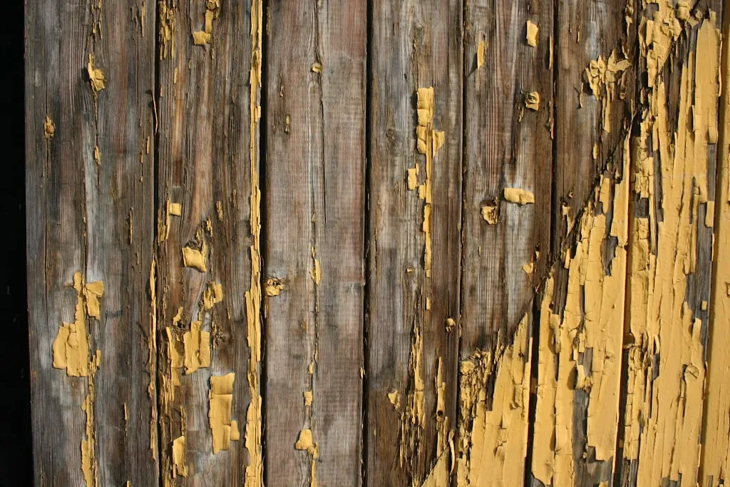 Najmodniejsze kolory lakierobejcy do drewna w 2026 roku